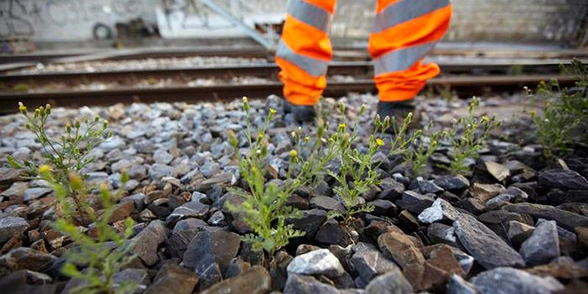 Damit ein sicherer Bahnbetrieb gewährleistet werden kann, müssen die Bahnen die Vegetation im Gleisbereich unter Kontrolle halten. Foto: BAFU